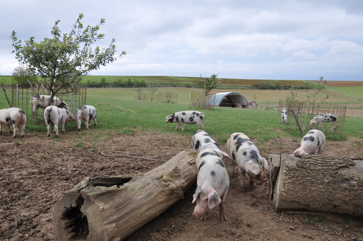 Nachhaltige Landwirtschaft